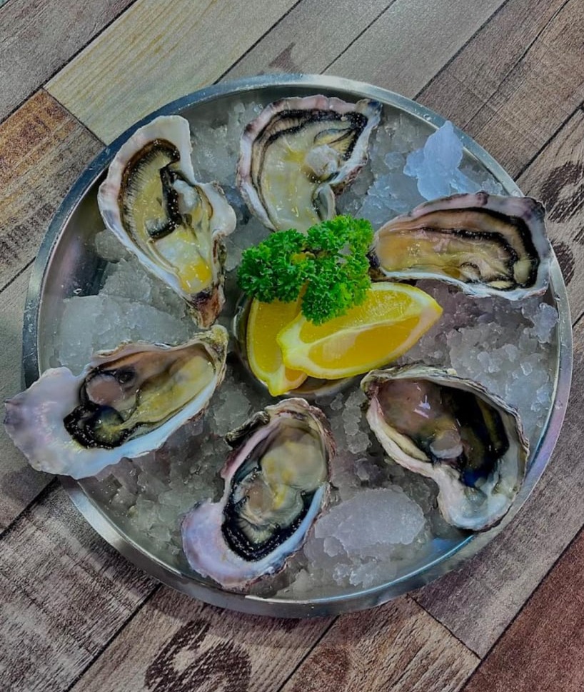 Fresh Oysters from NZ